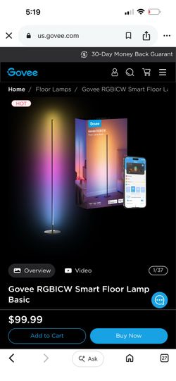 Govee floor lamp