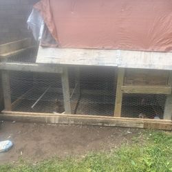 Chicken Coop