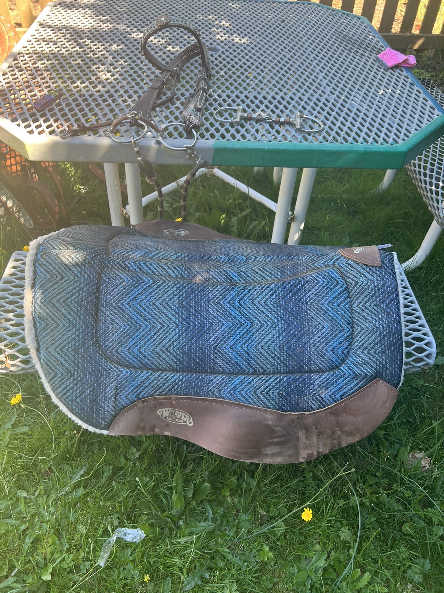 Horse Tack for Sale in Woodinville, WA OfferUp