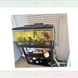 All-Set Aquarium Package - Discover Water World Magic need let