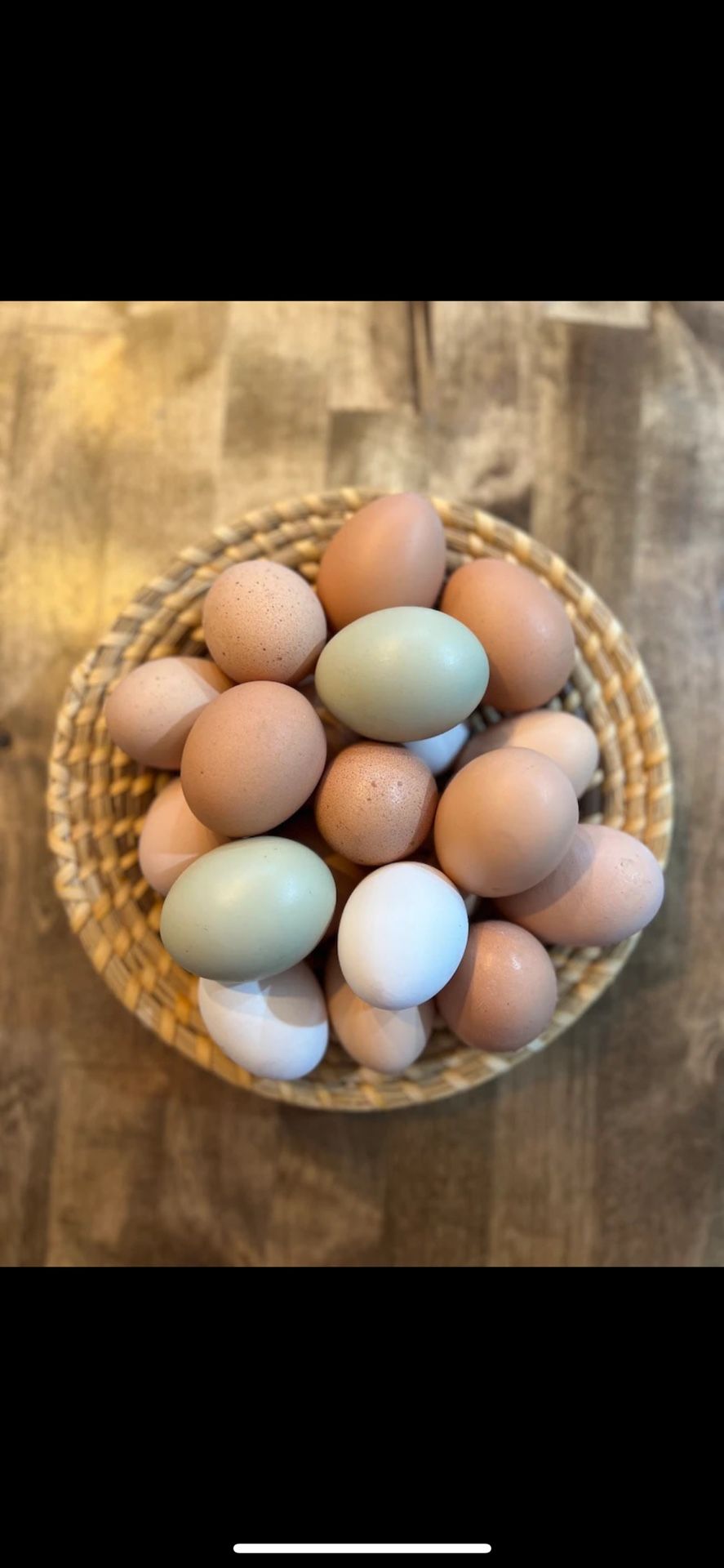 Fresh Organic Eggs