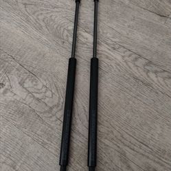 2 Back Lift Supports for Highlander