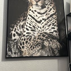 Wall Decorations 