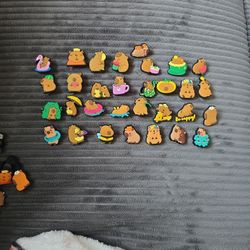 Capybara Croc Charms