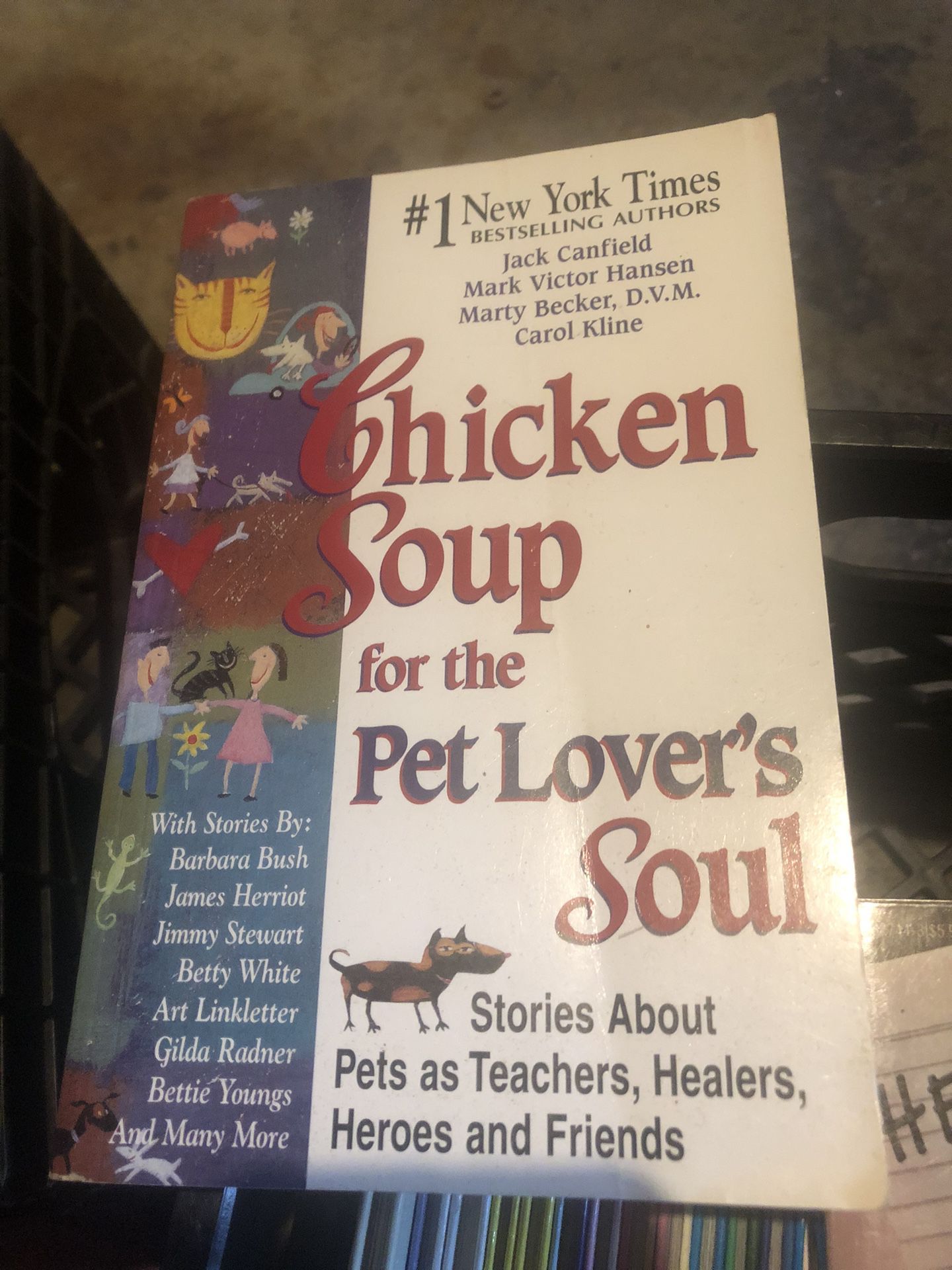 Chicken Soup For Pet Lovers Soul 