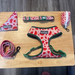 Watermelon Harness Collection Bundle 