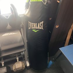 Everlast Punching Bag and Gloves