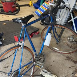 SCHWINN Sprint Vintage Bicycle 