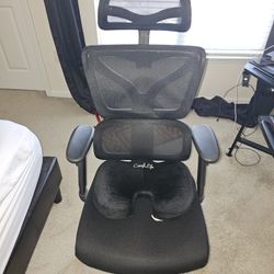 Winrise Ergonomic Office Chair