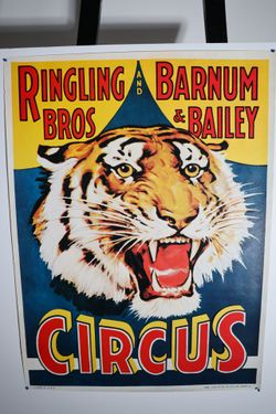 Vintage 1970s Ringling Bros Circus Poster Tiger Head Erie Litho Reprint 22x30