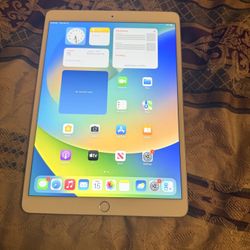 iPad Air 3 10.2 Inch Screen (like New ) 