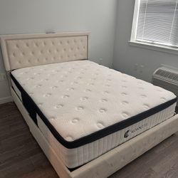 Queen Size Bedframe W/ Drawers And Mattress. Must Pickup. Near Walmart, Bayonne. 