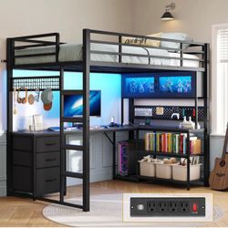 Loft Bed with Desk, LED lights, & Display Case