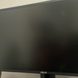 gaming monitor