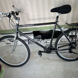 Specialized mountain bike