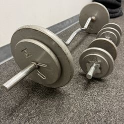 Complete Weight Training Kit: Solid EZ Curl Bar (W Bar) + 2 Dumbbell Bars + Cast Iron Weight Plates