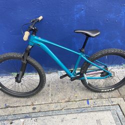 Giant Stp Single Speed