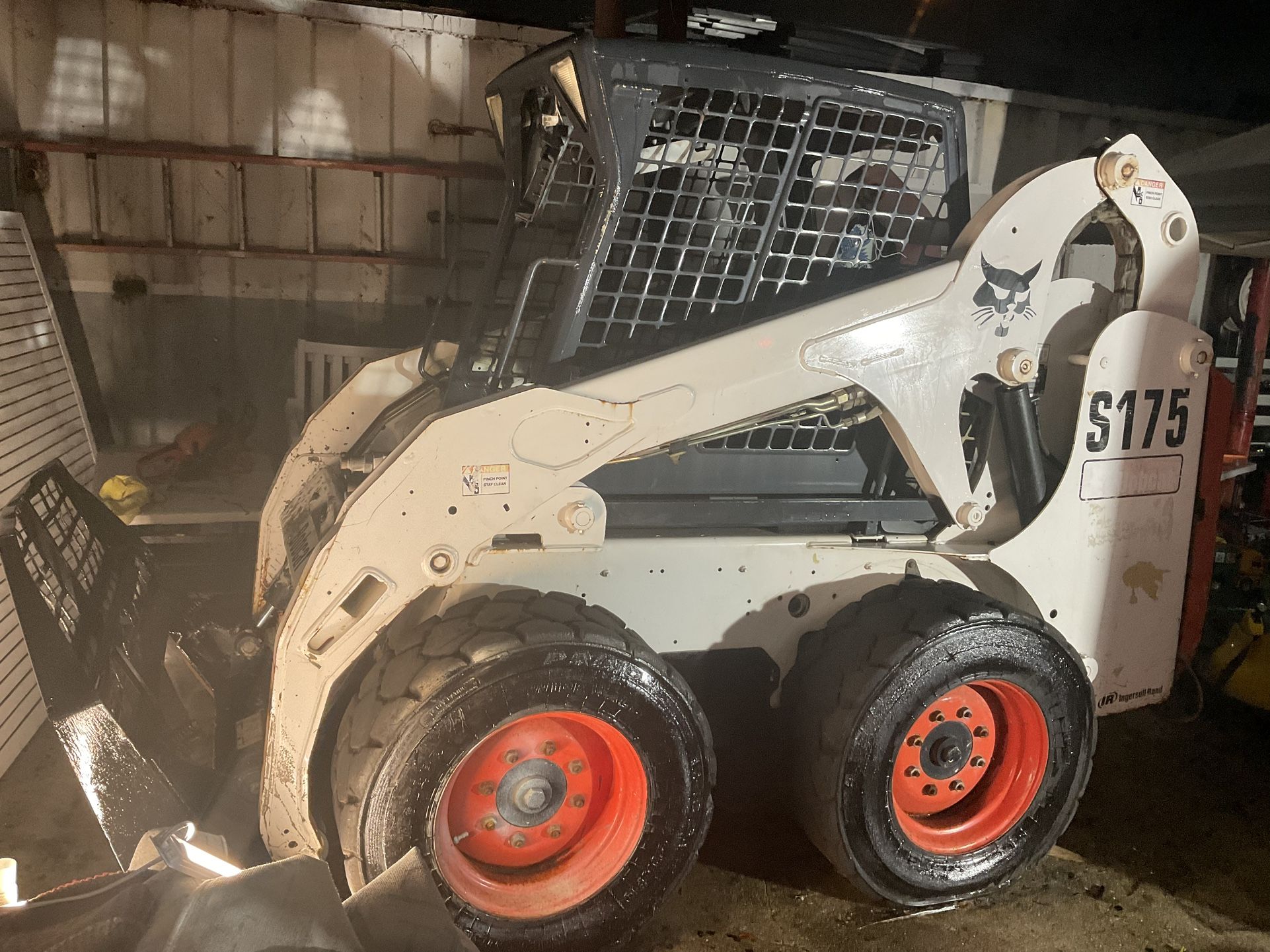 Bobcat