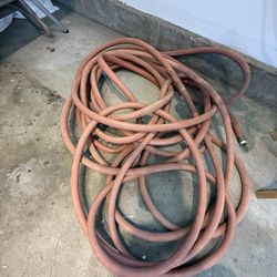 Hose 10 Bucks Xtra Long