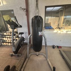 Punching Bag With Stand