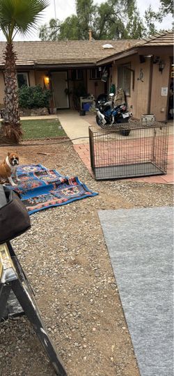 Dog crate