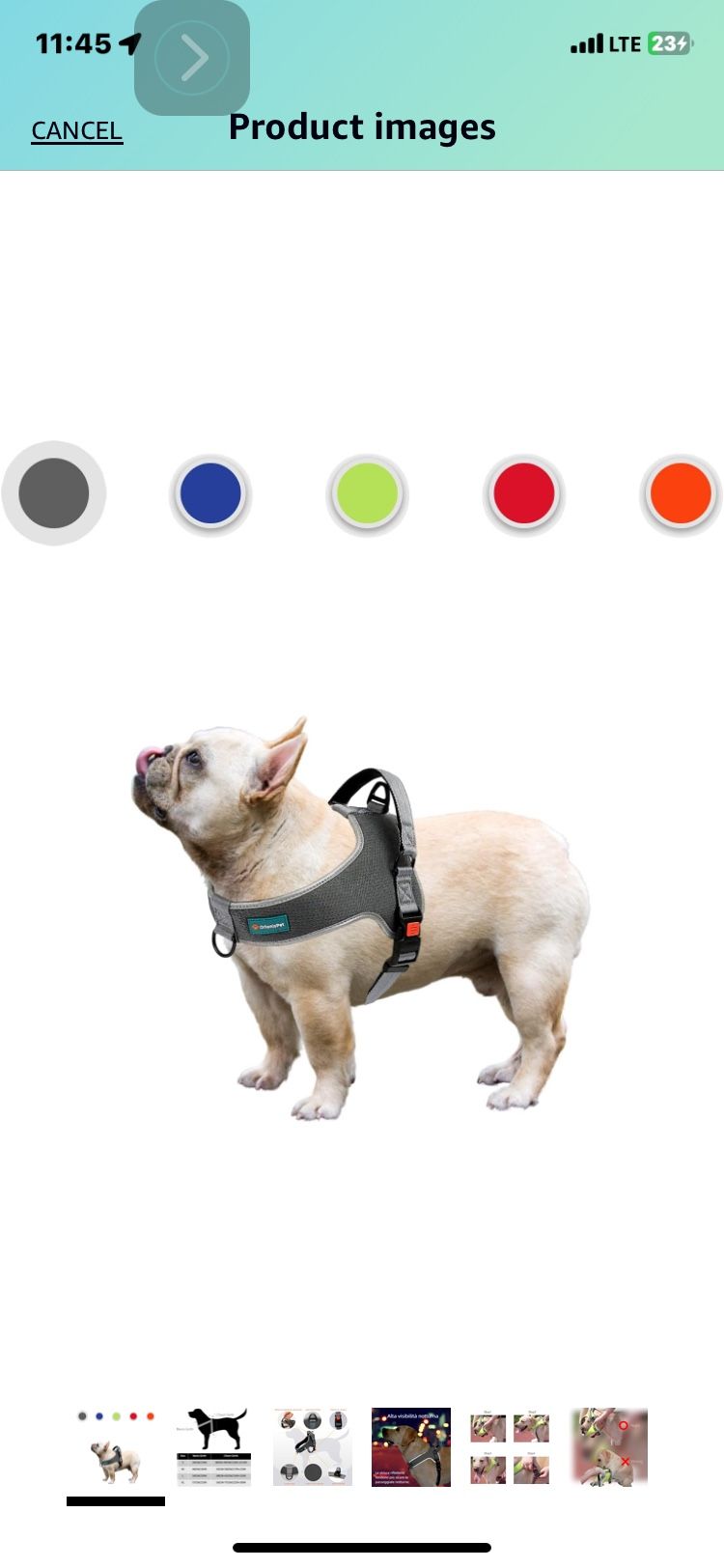 Easy On, Easy Off Harness, M