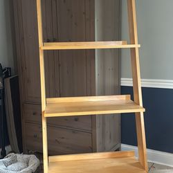 Bookshelf (ladder) 