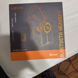 New Headset With Mic
