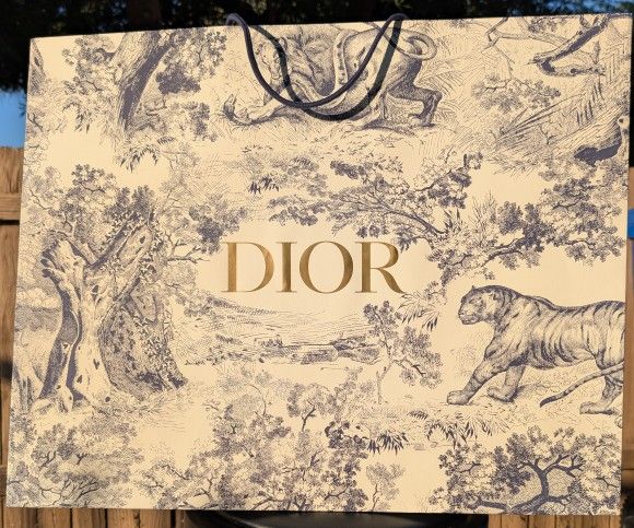 XL DIOR Paper Shopping Bag - 25" x 20" x 10"