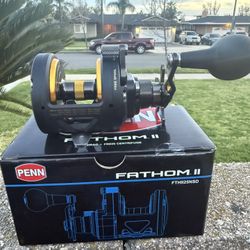 Penn Fathom ll Star Drag Conventional Reel  