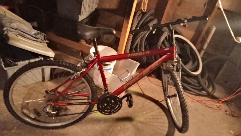 Timber Bike
