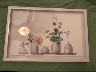 Framed Artwork