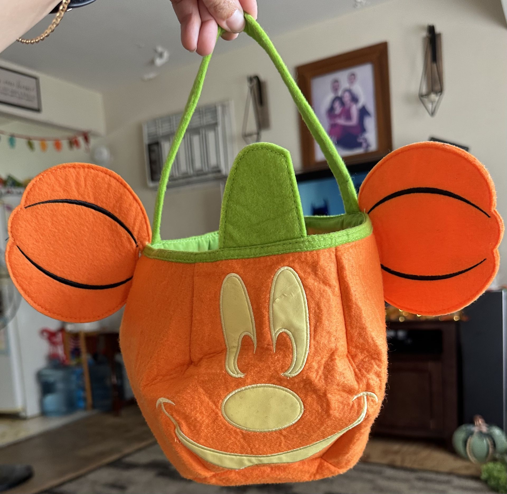 Disney Store Mickey Mouse Pumpkin Trick Or Treat Bag (felt)