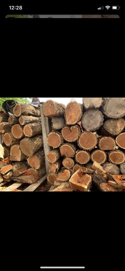 Mesquite oak and pecan