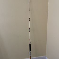 PENN SPECIAL SENATOR Fishing Rod