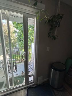 Doggie/cat door