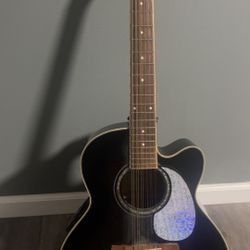 Ibanez AEL2012E