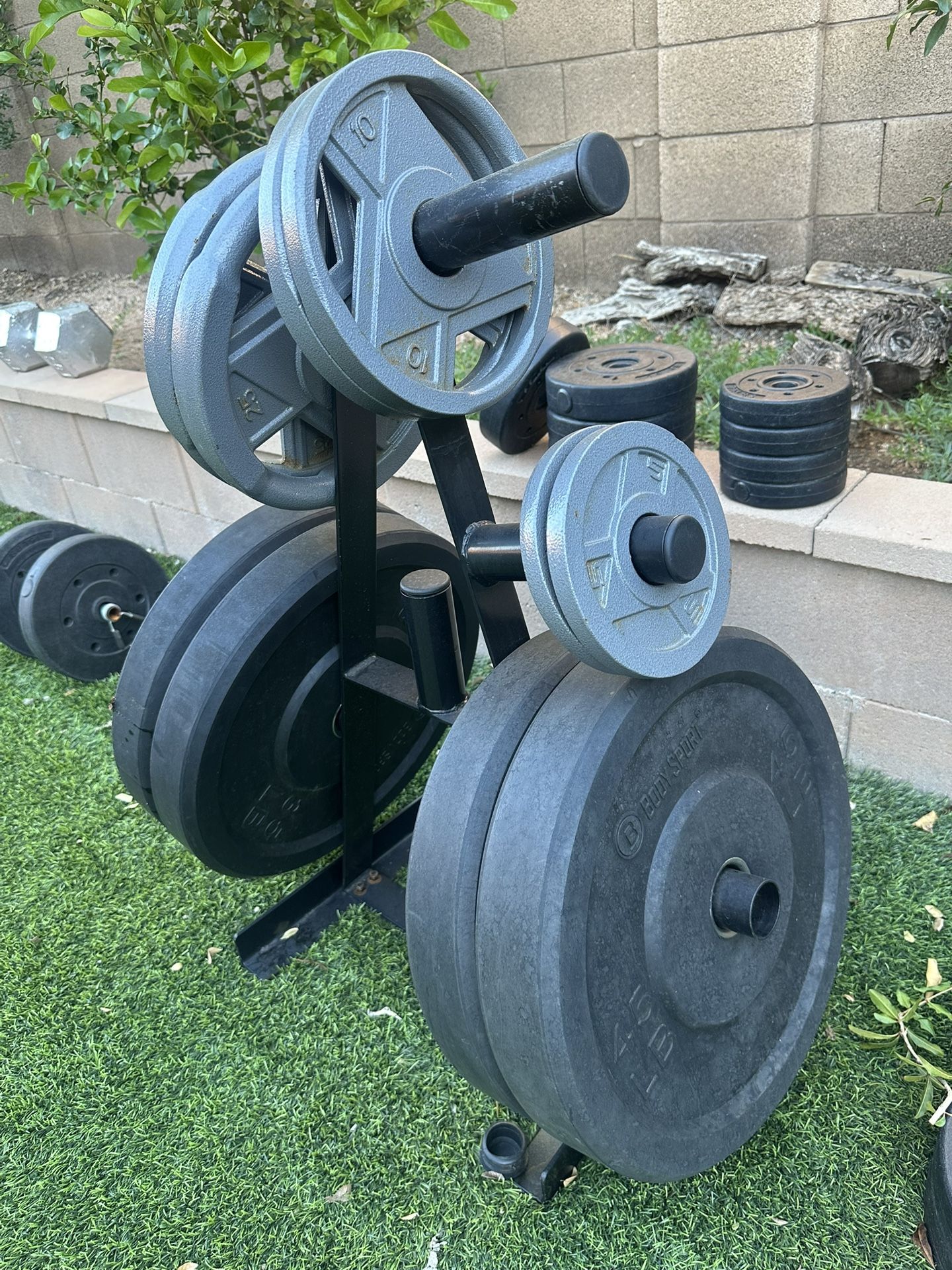 Gym Lifting Weights & Weight Tree