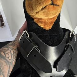 Dog Harness
