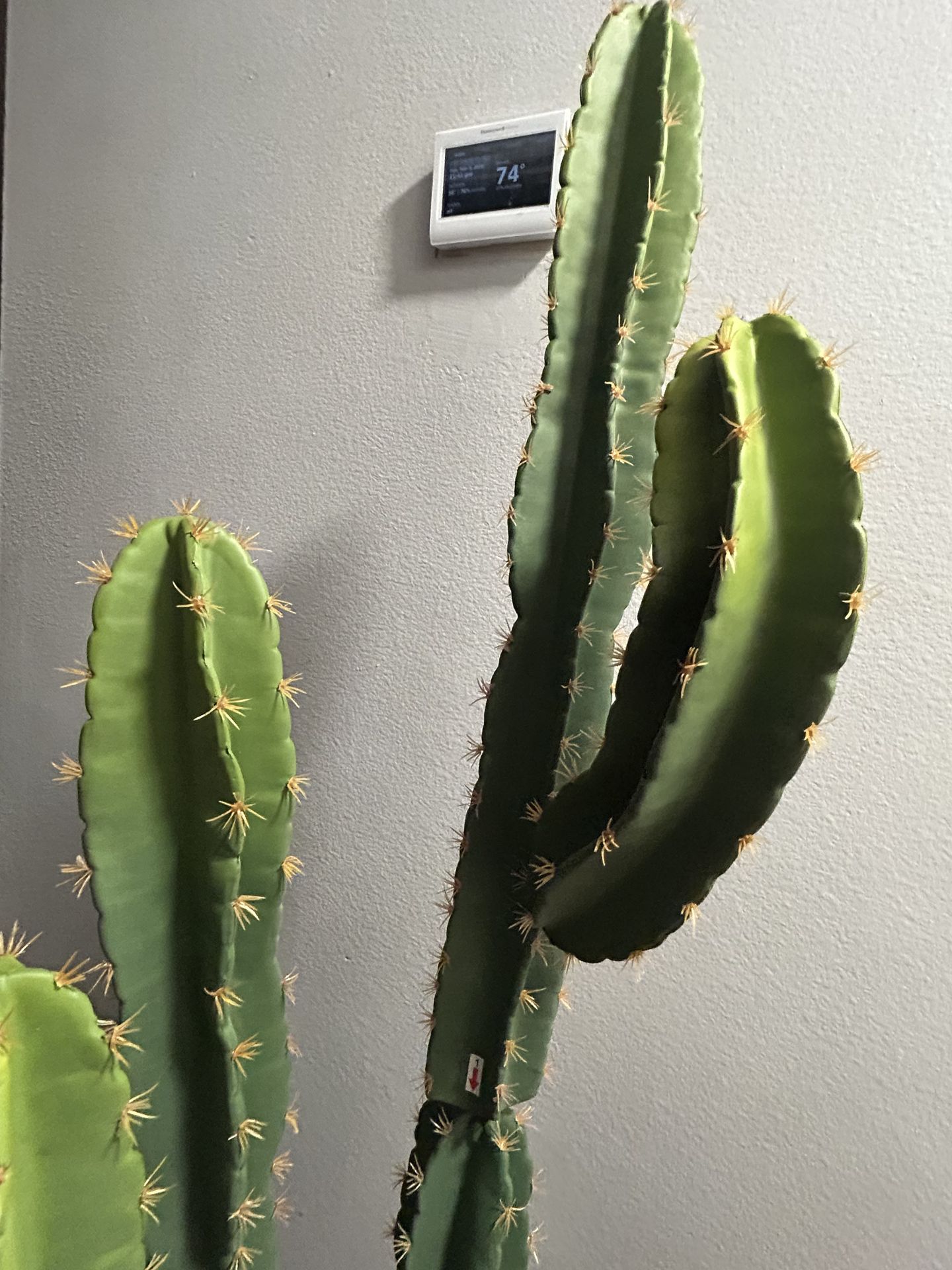 Fake cactus plant