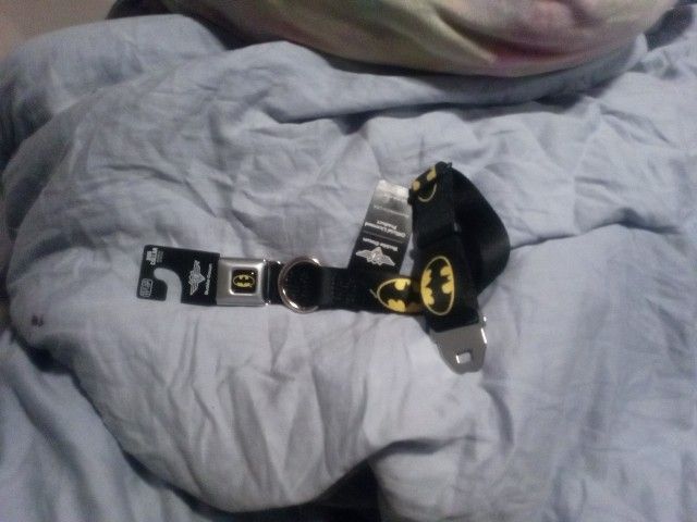 Batman, Buckle-Down Collar