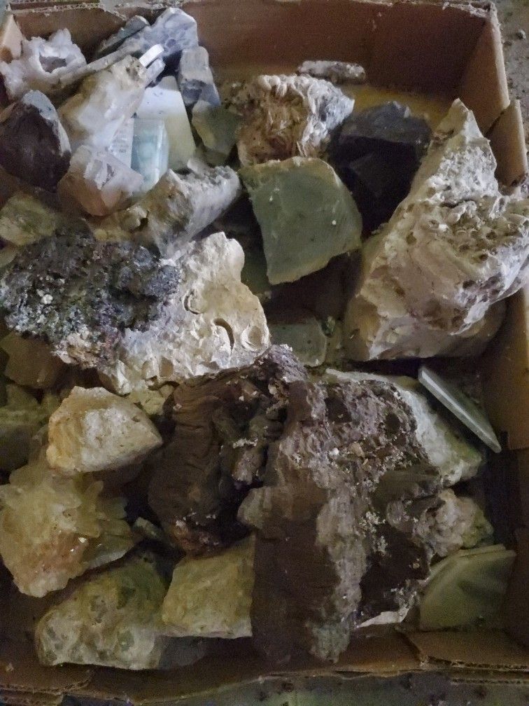 Polished Rock Crystal Fossiles