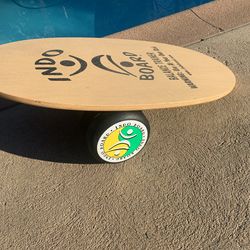 Indo board with roller