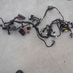 Suzuki gsxr wiring harness