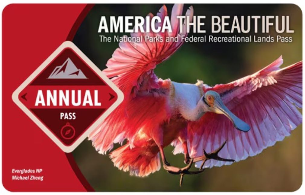 National Park Pass (Valid Until December 2025)