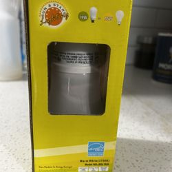 Light Bulbs , Lighting 