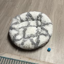 Medium Size Cat Bed 