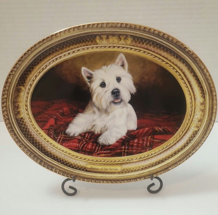 West Highland Terrier