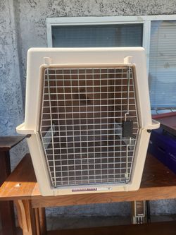 Kennel