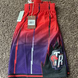 New Mitchell & Ness NBA Toronto Raptors 1998-99 Fadeaway Swingman Shorts